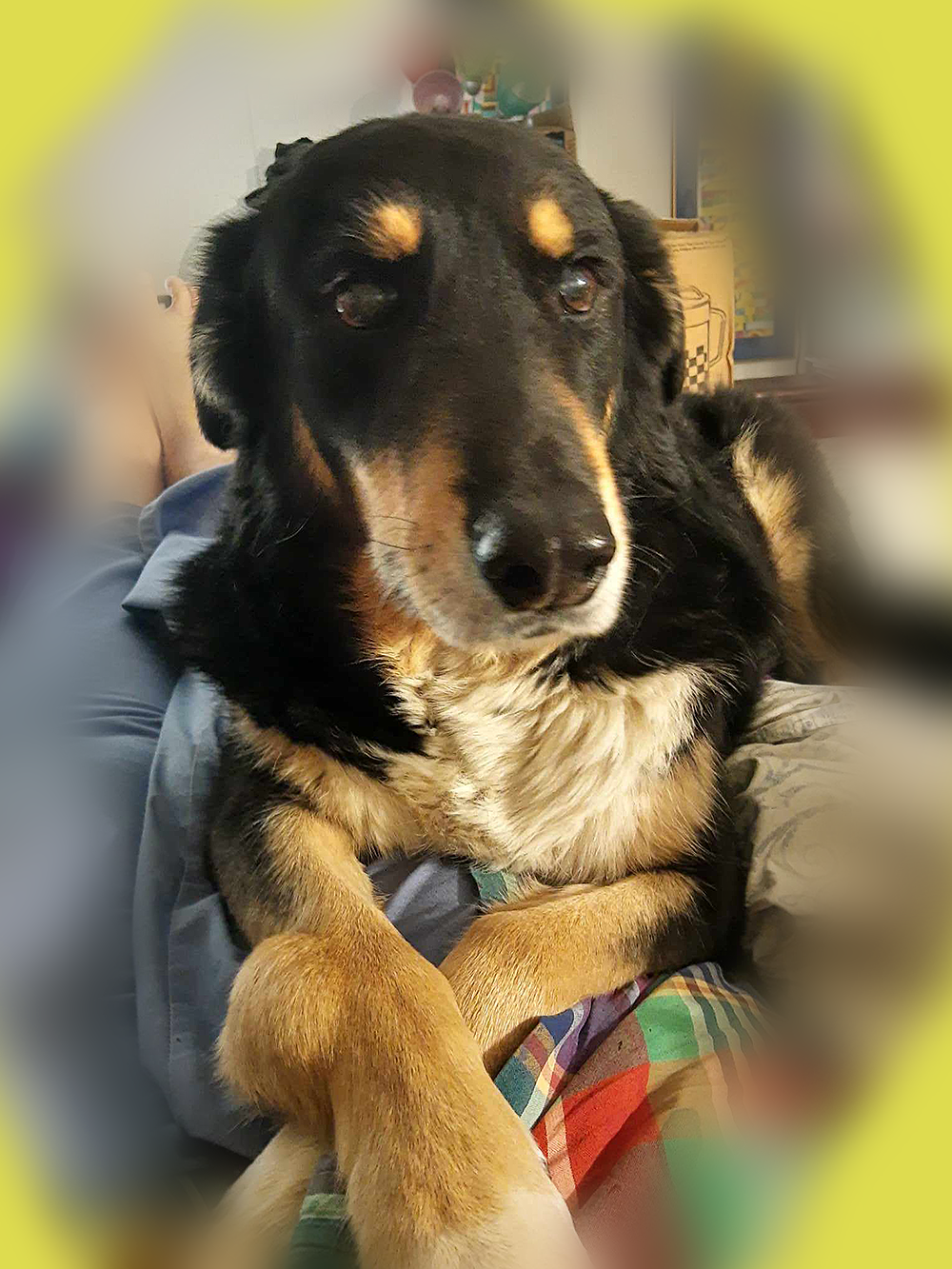 Peter Parker, my best boy ever.